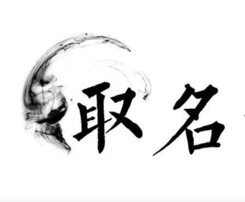  盘龙宝宝取名 大师一对一人工起名