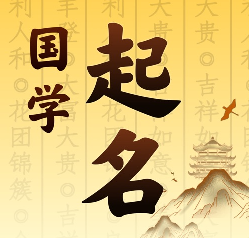 盘龙国学起名 人工起名一对一